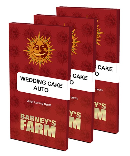   Wedding Cake Auto (Barneys)